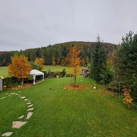 Гостевой дом Przy Lesie *