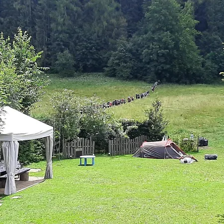 Pensjonat Przy Lesie 3*