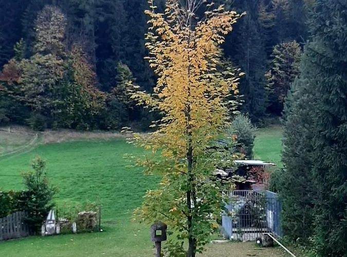 Affittacamere Przy Lesie Zakopane