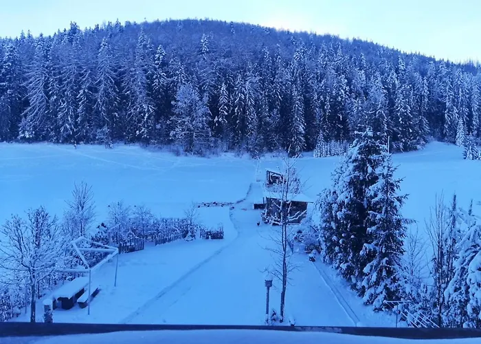 Przy Lesie Affittacamere